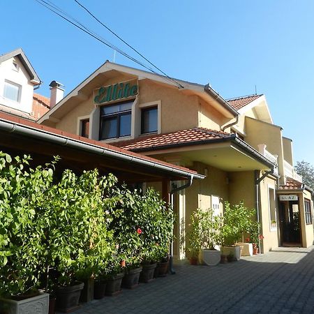 Guesthouse Ellite Пожаревац Экстерьер фото